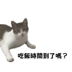 Fu_20260525202148