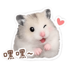 波妮Boni