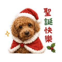 聖誕節的狗