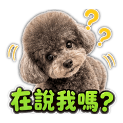 孩子王～歐咪