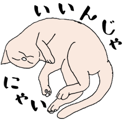 Ordinary Cat Talk