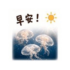 勇敢小貼圖 03 水母問候篇