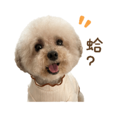 毛茸茸3可愛表情