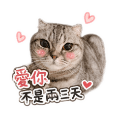 可樂娜、肉鬆與烏尼一家Ver.2