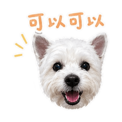 可愛的仔寶(´∀｀) - 大頭篇2