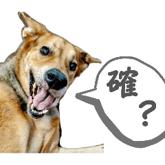 JellyDogEmo