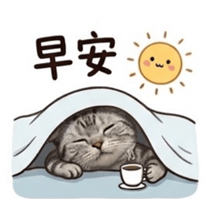 跳跳的喵喵日常