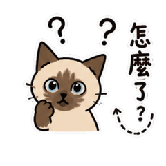 巧比&nbsp; &nbsp;日常篇