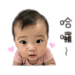毛毛很愛叫