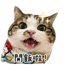 我的名字是十二（主管已讀喵）