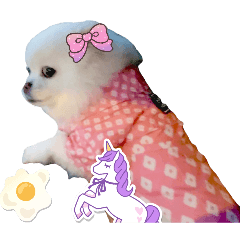 nini daily_4