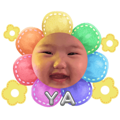 BB ARI