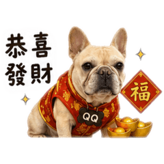 QQ的日常語錄1