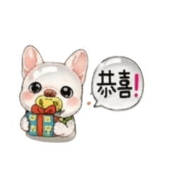 小白狗日常用語2