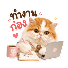 Aunpung meow_20260503132327
