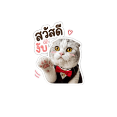 Ma_20260503132734