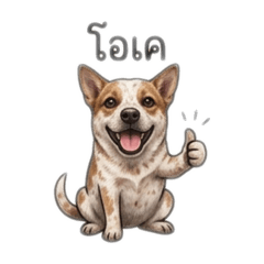 Cha Thai_20260503133238