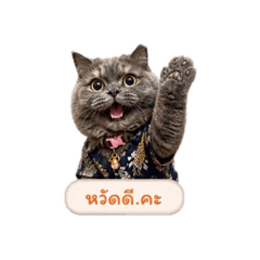 Mawwan_20260503133053