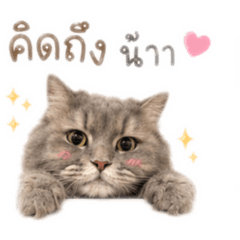 Tatar_007