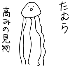Muscle Jellyfish TAMURA
