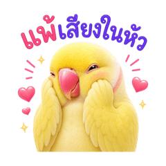 Piak Pun The Indian Ringneck