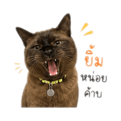 Juffjuff_20260503135840