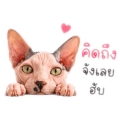 Juffjuff_20260503140633
