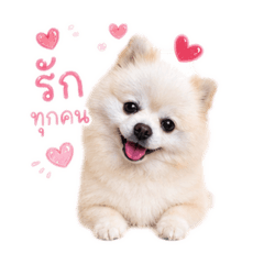 I am Jumai
