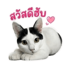 Mooximus