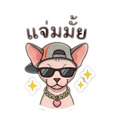 Juffjuff_20260503144916