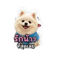 Bibi_20260503144728