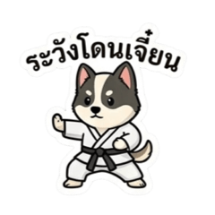 Cat&Dog_20260503151755