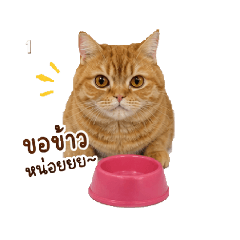 mm_20260503152815