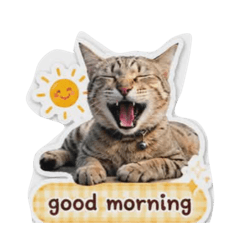 Ying_20260503161353