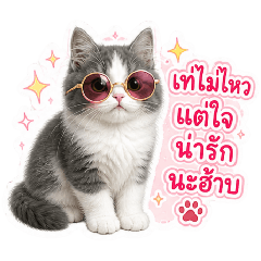 my friend_20260503161150