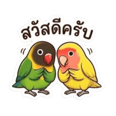 Minion & Lovely the birds