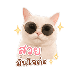 The threewhitecats