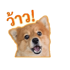 Sticker lamai_20260503163853