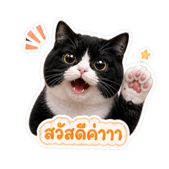 Troopercats