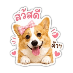 PINGPONG CORGI