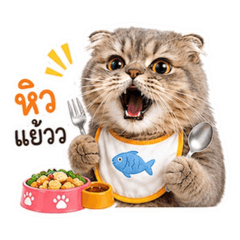 amamtncs_20260503165914