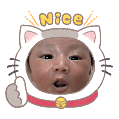 JaFa Cat
