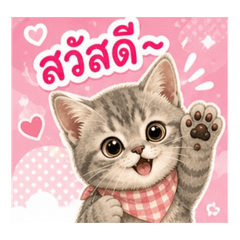 Maru the Tabby