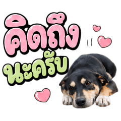 Nong Si 02