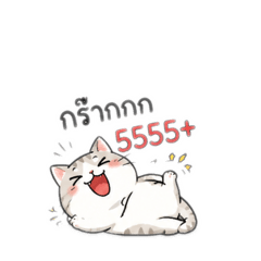 The Funny Mama Cat