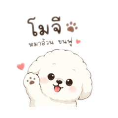Prangthip_20260630215833