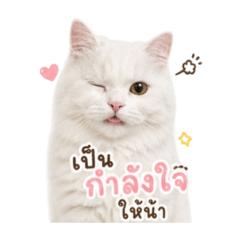 My name s OMO
