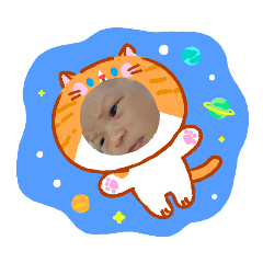 NooknCat