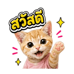 tokee09_20260505125936