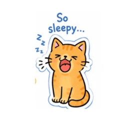 The cutest catsss
